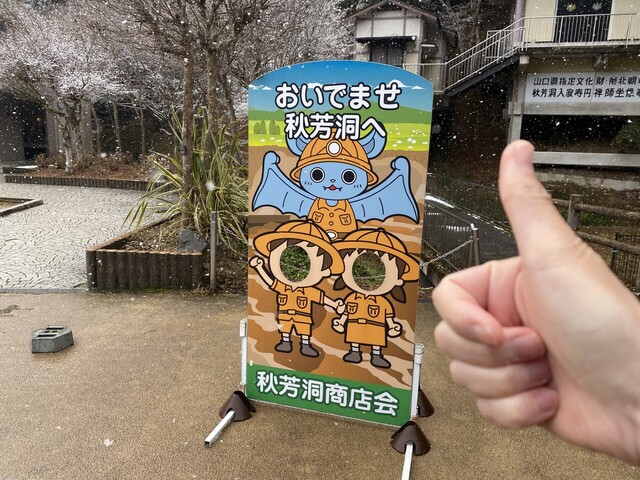 thumbnail_IMG_6937.jpg